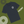 Load image into Gallery viewer, Beer No Evil Worthing T-shirt with Back Print